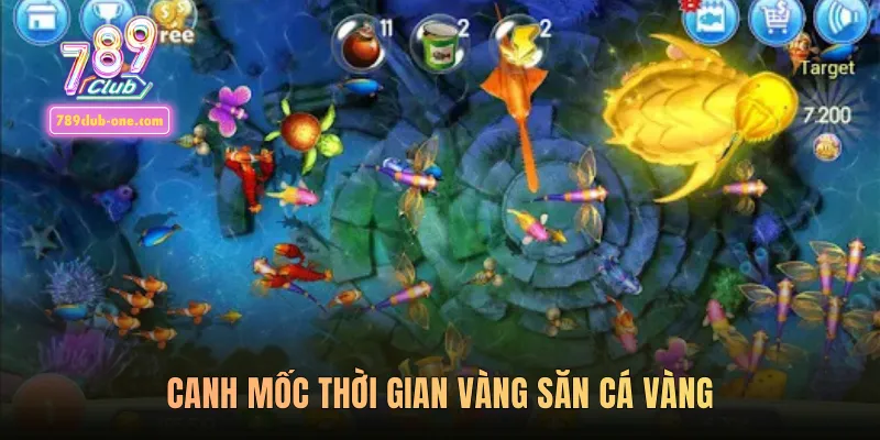 Canh mốc thời gian vàng săn cá vàng