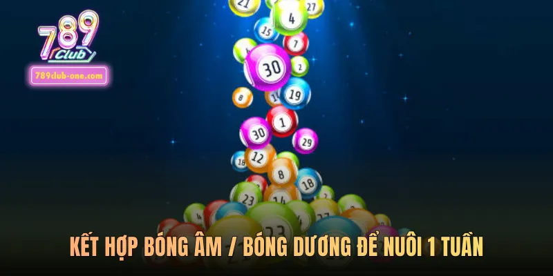 Kết hợp bóng âm / bóng dương để nuôi 1 tuần