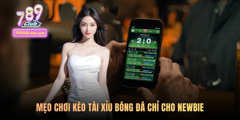 Mẹo chơi kèo tài xỉu bóng đá chỉ cho newbie